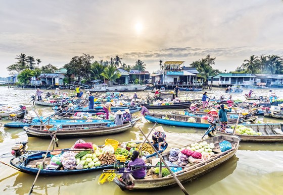 Tầm nhìn hiện đại du lịch ĐBSCL bền vững, thích ứng biến đổi khí hậu ảnh 3