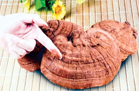 Thanh lọc cơ thể khi nào và bằng gì? ảnh 3