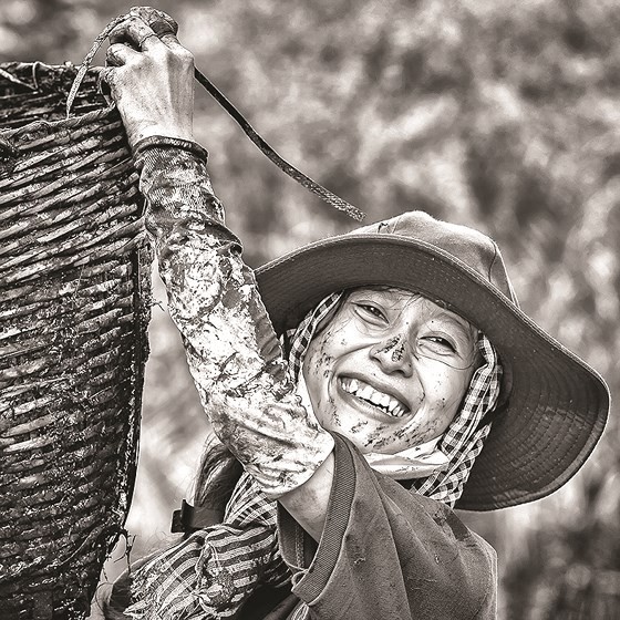 "Chân dung" Việt ảnh 9