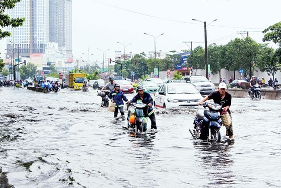Kỳ họp thứ 9 HĐND TPHCM khóa IX: Nóng vấn đề đô thị ảnh 1