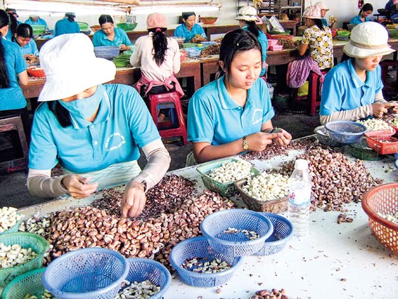 Tư duy ngắn, thiếu tầm nhìn ảnh 1