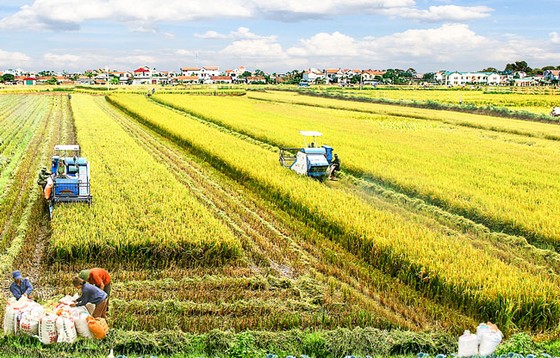 Nghèo nàn sản phẩm dịch vụ nông nghiệp nông thôn ảnh 1