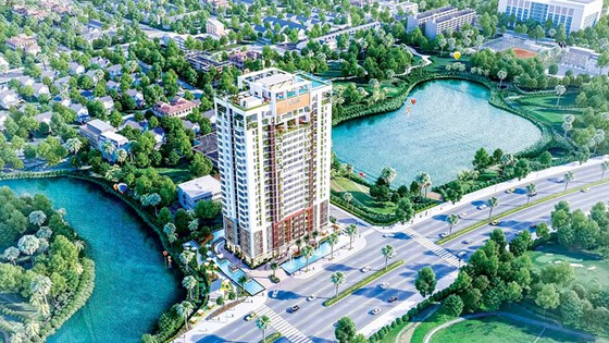 Căn hộ dịch vụ lên ngôi ảnh 1