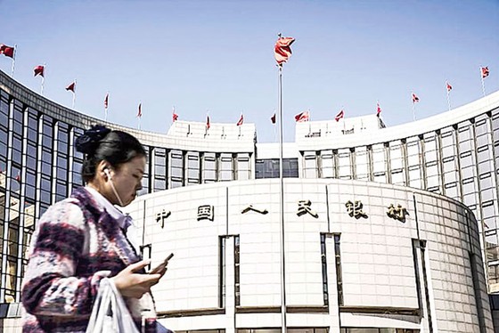 Thế giới có thoát “chu kỳ 10 năm”? - Những Lehman mới ảnh 1