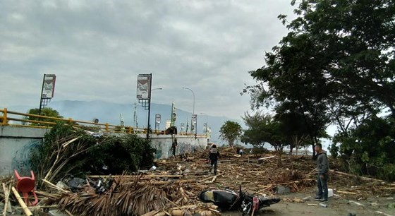 Số nạn nhân thiệt mạng do động đất và sóng thần tại Indonesia đã lên tới gần 400 người ảnh 5