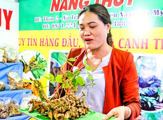 Cây tiền tỷ sâm Ngọc Linh ảnh 2