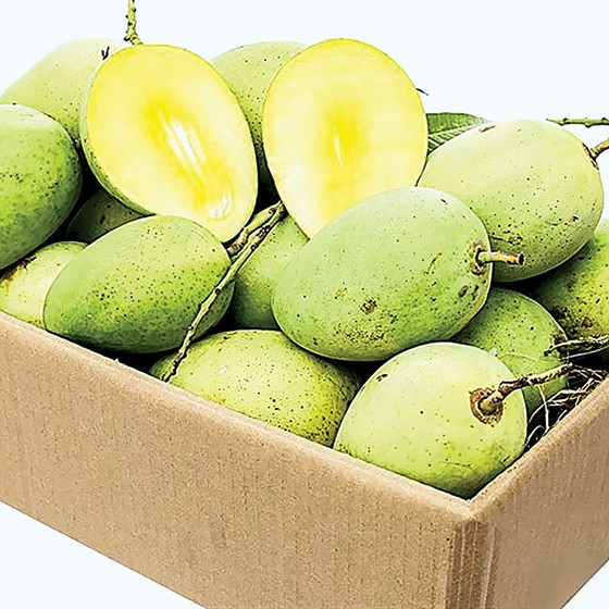 Thị trường Nhật Bản dễ vào nhưng khó trụ ảnh 1