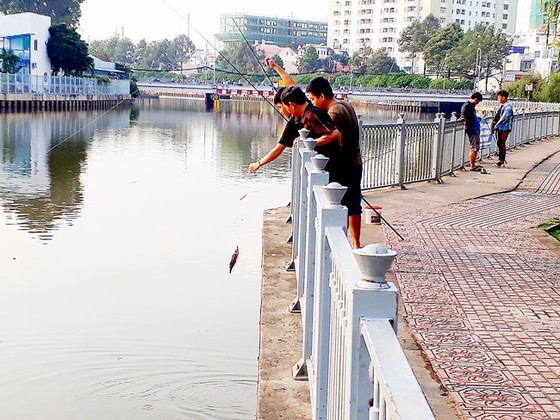 Giữa phố buông cần, bất chấp biển cấm ảnh 1