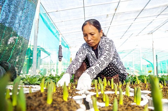 A Lưới bén duyên muôn hoa ảnh 2