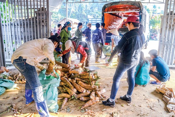 Theo người Dao đi săn “lộc” rừng ảnh 3