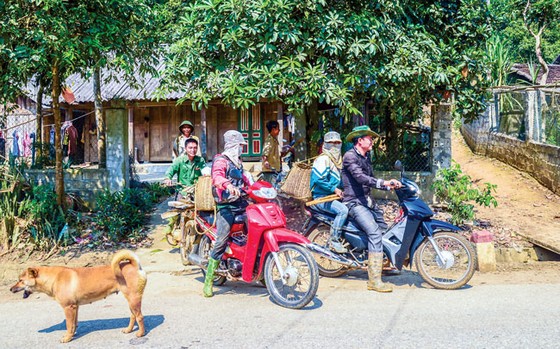 Theo người Dao đi săn “lộc” rừng ảnh 5
