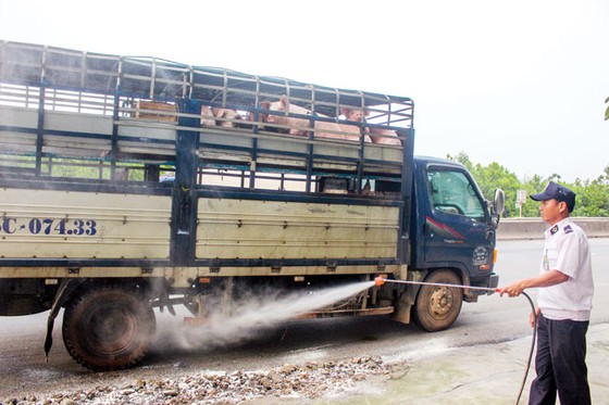 Miền Trung: Tổng lực chống dịch tả heo châu Phi ảnh 2