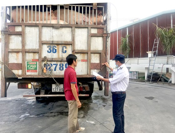 Chốt chặn thực phẩm bẩn vào TPHCM ảnh 1