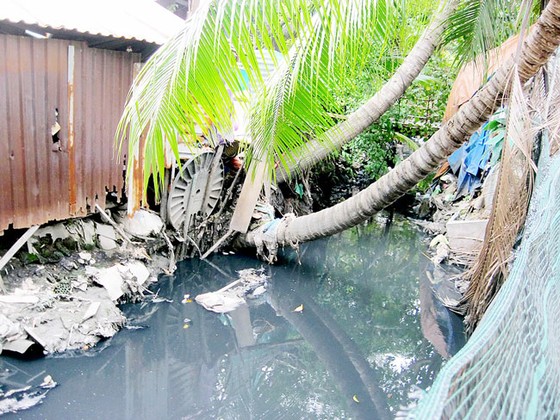 Gian nan chỉnh trang đô thị ảnh 1