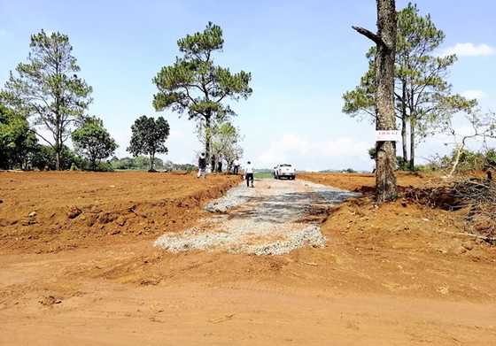 Bài 1: Công trình trên giấy, giá đất tăng vọt ảnh 2