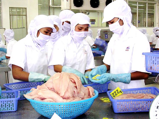 Giá cá tra giảm, thị trường biến động ảnh 1