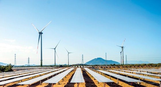 Solar power projects should not depend on bank loans ảnh 1