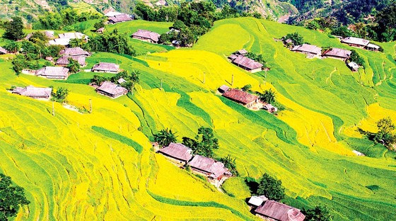 Duyên dáng “Nàng Phì” ảnh 1