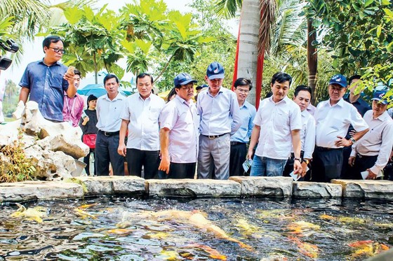 Nông nghiệp chủ lực thiếu… lực ảnh 1