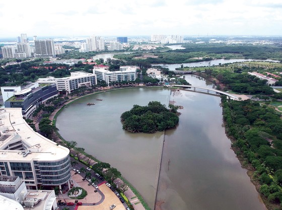 Thu gom nước mưa góp phần chống ngập ảnh 1
