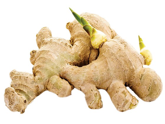 Dược liệu tăng cường miễn dịch mùa cúm ảnh 2