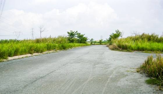 Quản lý nhà, đất công: Nhiều sai phạm ảnh 1