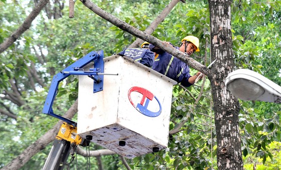 TPHCM triển khai nhiều giải pháp đảm bảo an toàn trường học ảnh 1