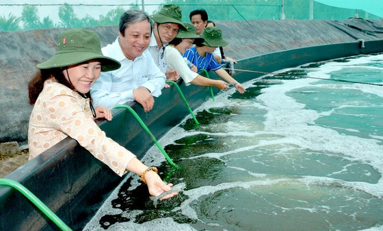 TPHCM thúc đẩy kết nối, tiêu thụ sản phẩm chủ lực ngành nông nghiệp ảnh 1