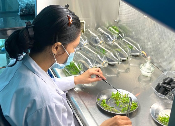 Thay đổi thương mại hóa sản phẩm nghiên cứu ảnh 1
