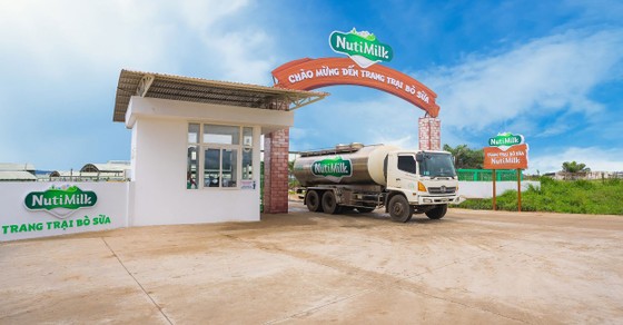 Nutifood ra mắt trang trại bò sữa Nutimilk ảnh 1