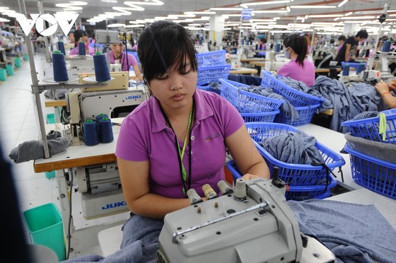Nhiều mặt hàng của Việt Nam được hưởng lợi từ EVFTA ảnh 1