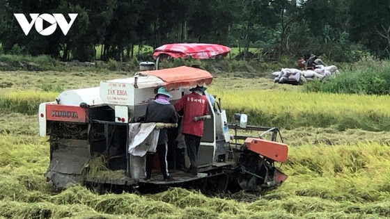 Nông nghiệp là nền tảng và trụ đỡ cho nền kinh tế ảnh 2