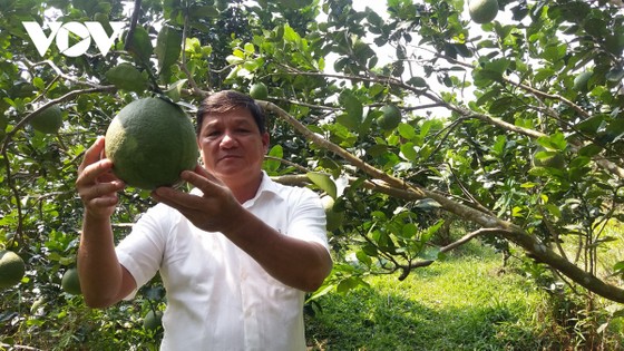Nông nghiệp là nền tảng và trụ đỡ cho nền kinh tế ảnh 1