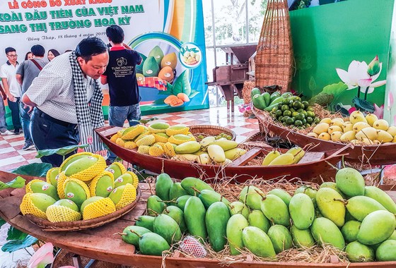 Đồng Tháp-Cùng nhau xây dựng, quản lý và thụ hưởng ảnh 1