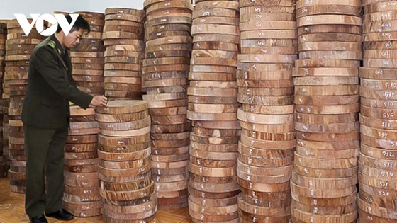 Lỗ hổng pháp lý truy xuất nguồn gốc lâm sản: Gỗ luồn rừng về xuôi? ảnh 2