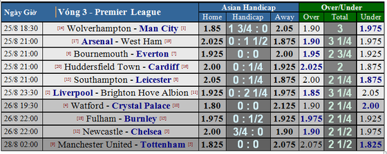 Liverpool - Brighton Hove Albion: Giông tố ở Anfield ảnh 5