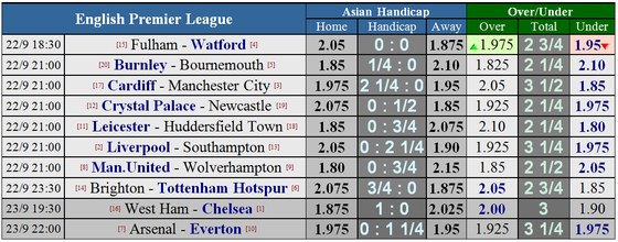 Arsenal - Everton: Chiến thắng sít sao cho Pháo thủ ảnh 5