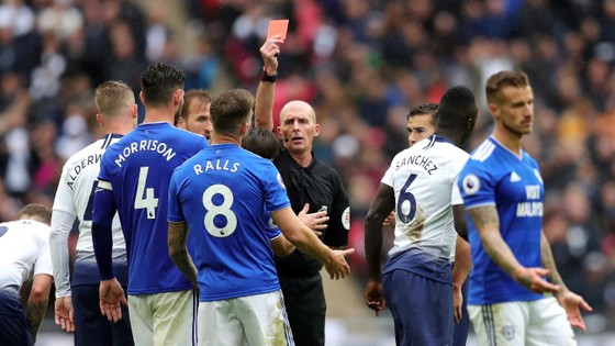 (TRỰC TIẾP) Tottenham - Cardiff City: Cuộc chiến một chiều ảnh 3