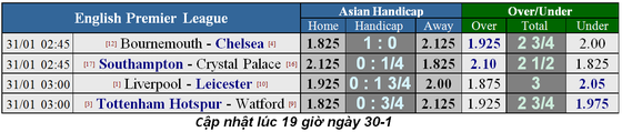 Tottenham – Watford: Gà trống quật khởi ảnh 1