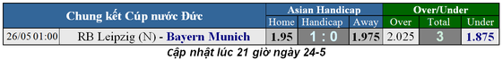 Lịch thi đấu trận chung kết Cúp Nhà Vua và Cúp nước Đức ngày 26-5 ảnh 4