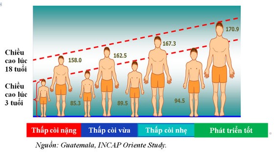 Tình thương cần sự thông thái ảnh 1
