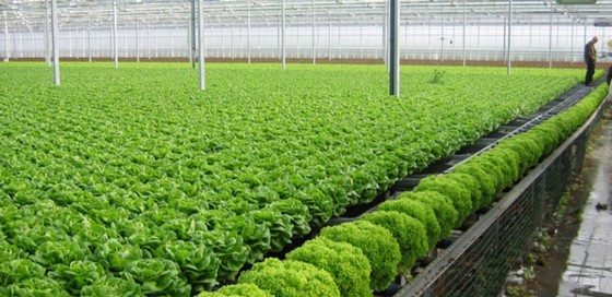 Hé lộ điểm đến “đỉnh nhất” Việt Nam hè 2018 ảnh 9