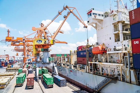 Kiên định cải cách dài hạn ảnh 2