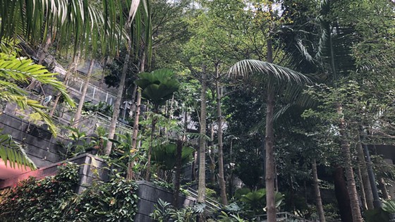 Jewel Changi: Kỳ quan sân bay mới tại Singapore ảnh 1