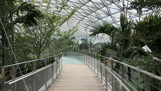 Jewel Changi: Kỳ quan sân bay mới tại Singapore ảnh 2