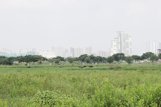 Tạo dựng quỹ đất, chuyển nhượng dự án: Cuộc đua những ông lớn ảnh 2