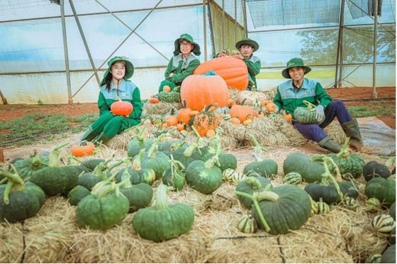 “Siêu bảo tàng” bí ngô Vinpearl mùa Halloween ảnh 2