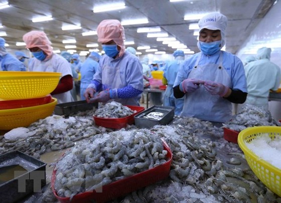 EVFTA: Gia tăng các biện pháp hỗ trợ doanh nghiệp phòng vệ thương mại hình ảnh 2 EVFTA: Gia tang cac bien phap ho tro doanh nghiep phong ve thuong mai hinh anh 2