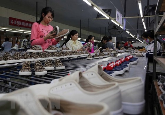 Hiệp định EVFTA: Chuyển đổi số, chất xúc tác hỗ trợ cho xuất nhập khẩu hình ảnh 1 Hiep dinh EVFTA: Chuyen doi so, chat xuc tac ho tro cho xuat nhap khau hinh anh 1