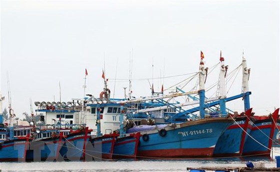 Đà Nẵng khuyến cáo người dân không ra khỏi nhà từ 20 giờ ngày 27/10 hình ảnh 2 Da Nang khuyen cao nguoi dan khong ra khoi nha tu 20 gio ngay 27/10 hinh anh 2
